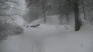 Двигаюсь вдоль реки Пахра. В снегопад.