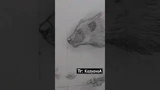 Рисовать шерсть со мной легко😉 Тгк: KazyavaA #какрисовать #art #drawing #творчество