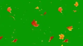 Green screen floating leaf | Falling Leaves Green Screen | Everything Green Screen