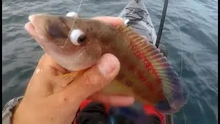 Джиг на глубине 25м+ Рыбалка на каяке - Deep jigging