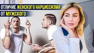 Мужской и женский нарциссизм. В чем отличия? | Клинический психолог Дарья Вексель