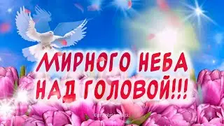 Красивое поздравление С Днем Победы🕊️С 9 мая!!! 