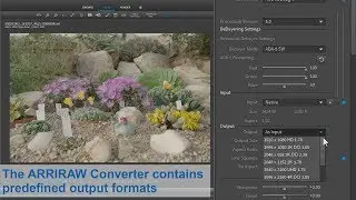 ARRI Tech Tip: ARRIRAW Converter - How to define an output resolution