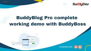 BuddyBlog Pro complete working demo with BuddyBoss Platform and Theme | BuddyPress Plugin