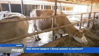 Михайло Травецький пояснює, чому молочні продукти з Польщі дешевші за українські. 2023-06-05