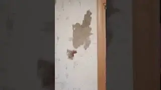 натяжной потолок сиськи 😁