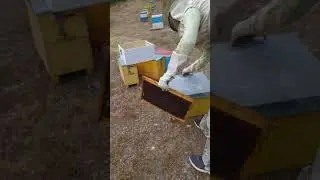 Duke nxierur Mjalt bio nga malet e karpenisit 12.08.2021