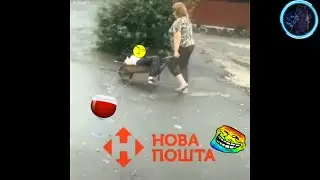 ПРИКОЛЫ 2020 ЛУЧШЫЕ ДО СЛЕЗ // BLACK CAT // УГАР СМЕХ ЮМОР И РЖАКА // ЗАСМАЙСЯ ЧЕЛЕНЖ