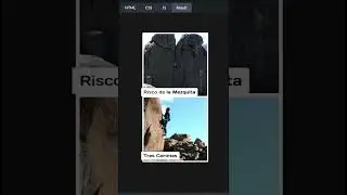 Unlock the Magic: How to Create a Scroll-Driven Animated Gallery | 2024 Tutorial 