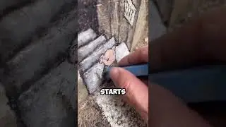 3D chalk ARTist on the streets (@davidzinn)