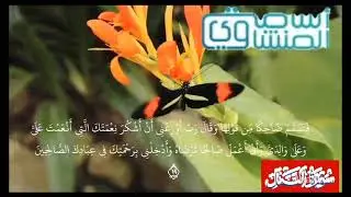 #سورةالنمل_اسامه-المنشاوي🌙