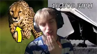 SONIC BOY! Top 10 Fastest Things In The World 