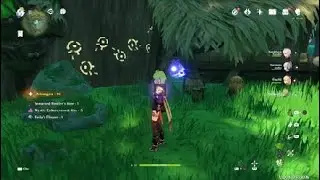 Apam Woods Mushroom Runes Puzzle | Genshin Impact