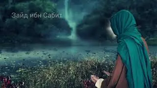 Зайд ибн Сабит. Истории сподвижников Пророка (мир ему и благословение)
