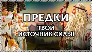 Слово ПРЕДОК - Разбор по буквице! Славяне черпали силу от предков? ОСОЗНАНКА