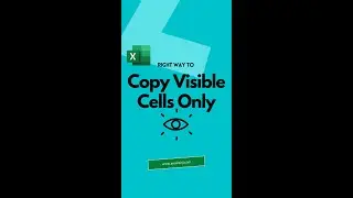 How to Copy Visible Cells Only in Excel