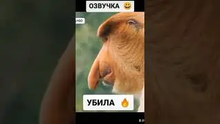 Нос чешется