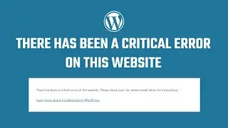 Fix: There has been a critical error on this website 