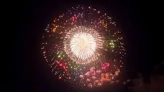 2014 Huge Shells Collection in Japan