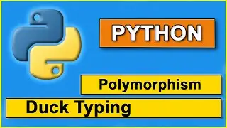 Duck Type polymorphism in python