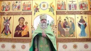 Проповедь протоиерея Иоанна Монаршека в день Святой Троицы