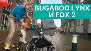 Bugaboo Lynx и Fox 2 | Сравнительный обзор премиальных колясок