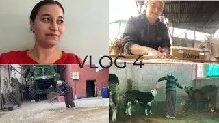 VLOG 4 | EVE GİREMEDİK |  KÖYE TAŞINDIK | KAFAMIZI BÖYLE DAĞITTIK #vlog #köyhayatı   #deprembölgesi