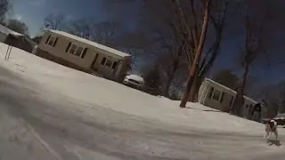 Dog rides on back of sledder, THEN ATTACKS