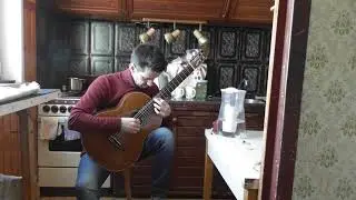 Исполнение Андреем Балалиным 89951003608(видео №813).