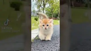 Милашка 🥰 😘😘