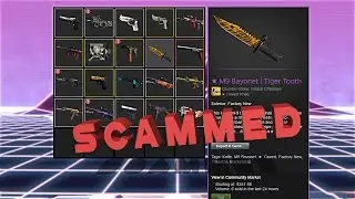 The Dumbest PayPal Scammer in CS:GO History.