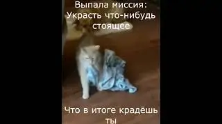 Грабёж средь бело дня...