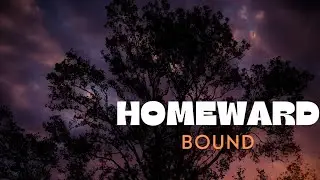 Homeward Bound | Alternative | Romantic Indie Music