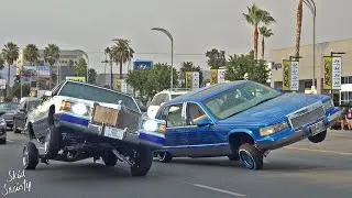 Lowriders TAKE OVER Van Nuys Blvd!