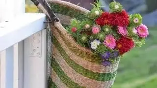 Славянск.03.08.23. Жара! Новости из курятника и что новенького на ужин.‼️