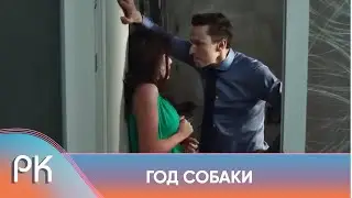 БЫЛА ЛЮБЯЩЕЙ ЖЕНОЙ НО ОДНАЖДЫ ПРИШЛА ЛЮБОВНИЦА МУЖА И ВЫСТАВИЛА ЕЕ ЗА ПОРОГ!ГОД СОБАКИ Русский Канал