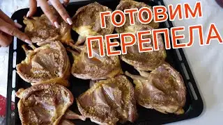 Шлёп-шлёп. Рецепт перепела на противне в духовке. Маринад для мяса перепела