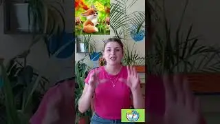 Пальчикова гра. Автор Наталія Ушакова