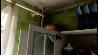 Состояние помещения перед уничтожением тараканов