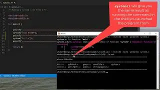 The C system() function