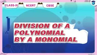 Polynomials |Division of a Polynomial by a Monomial #chapter2 #class9 #ncert
