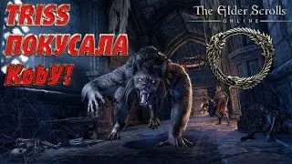 Оборотни в TESO / Как Kobе сделали 