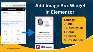 Add Image Box Widget with Title, Description in Elementor  | WordPress | Step-by-Step Tutorial