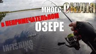 Много окуня в непримечательном озере! Микроджиговая рыбалка. CO1Л. Part 42