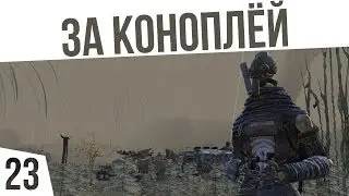 НА БОЛОТА ЗА КОНОПЛЁЙ! | #23 Kenshi Сценарий 