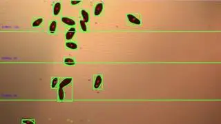 Seed counter_delay 0.3