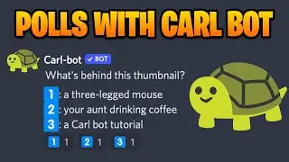 How to Make Polls With Carl Bot on Discord