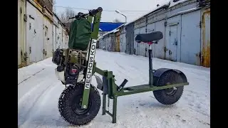 Кот может быть любого цвета,  при условии что он зелёный.