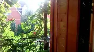 6 июля Солнце