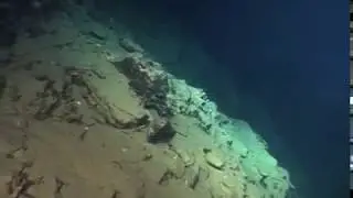 Дно Байкала! Редкие кадры!